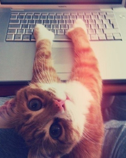 Счастье Мое | Москва