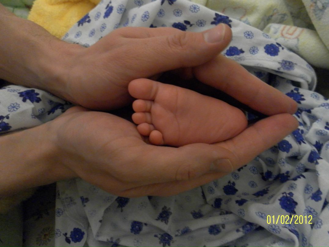 Павел Димитрук Паштет | Новосибирск