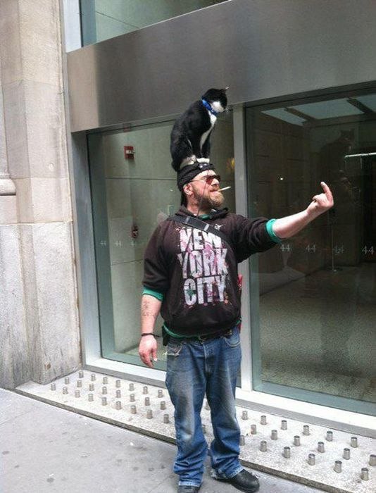 Артем Турчинович | 