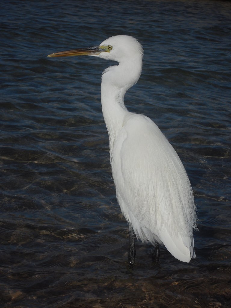 Олеся Ривкина | Смоленск