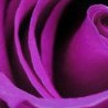 №3, Наталья Аджигитова, 58 лет, Астана №3, Наталья Аджигитова, 58 лет, Астана
