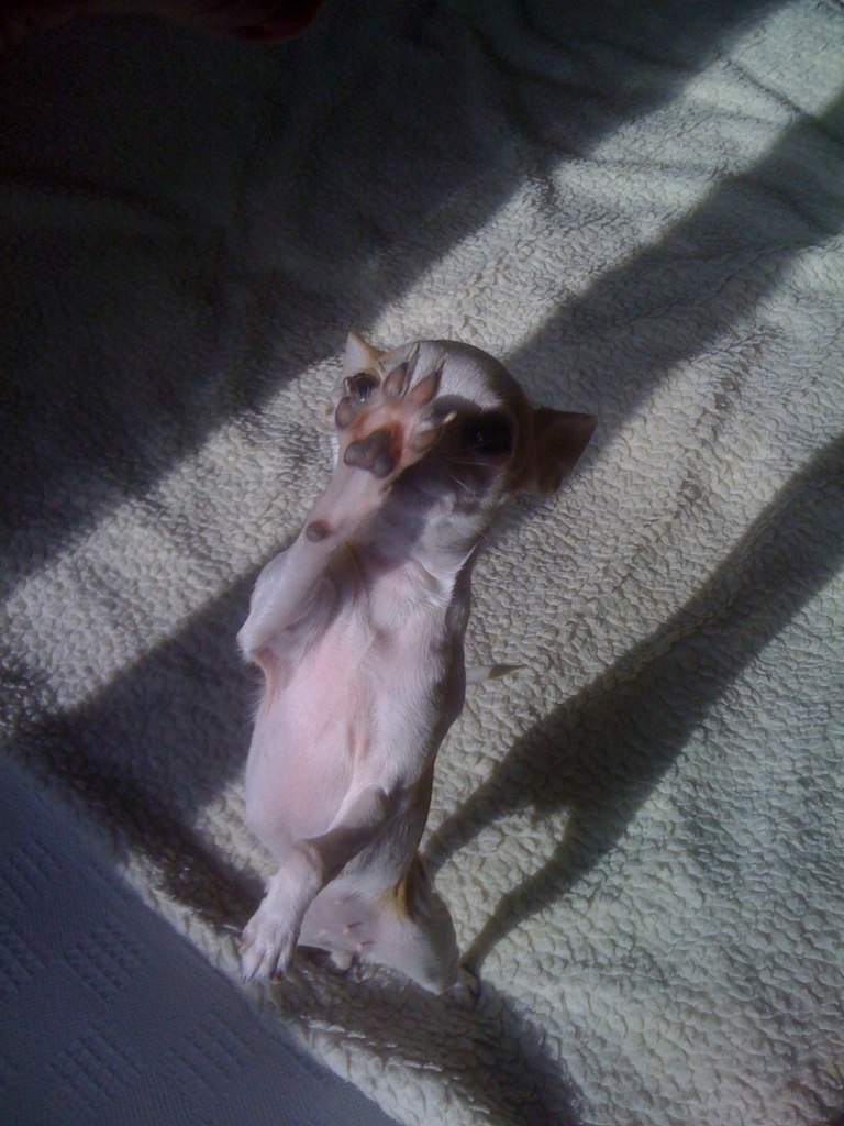 Илья Желнов | Москва