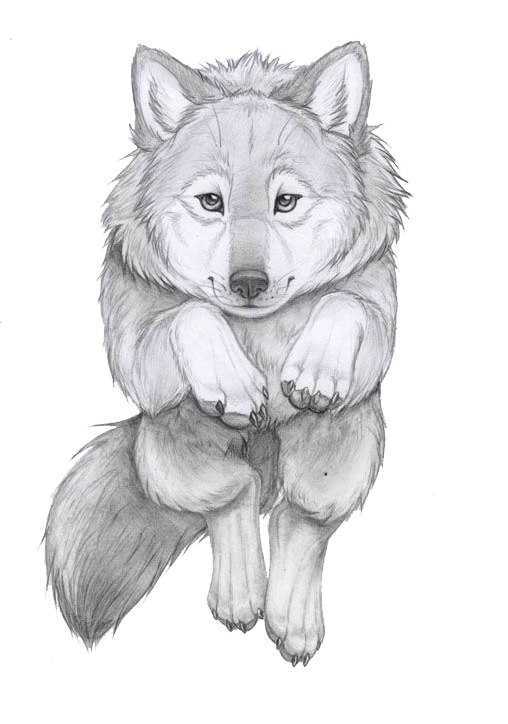 Евгений Славиков | Санкт-Петербург