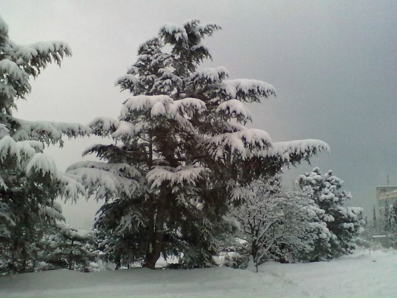 Сергей Мевший | Кривой Рог