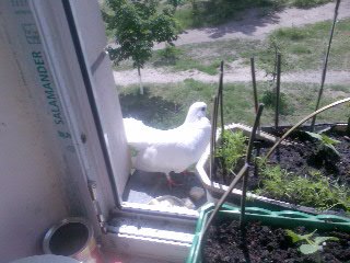 Раиса Билецкая | Киев