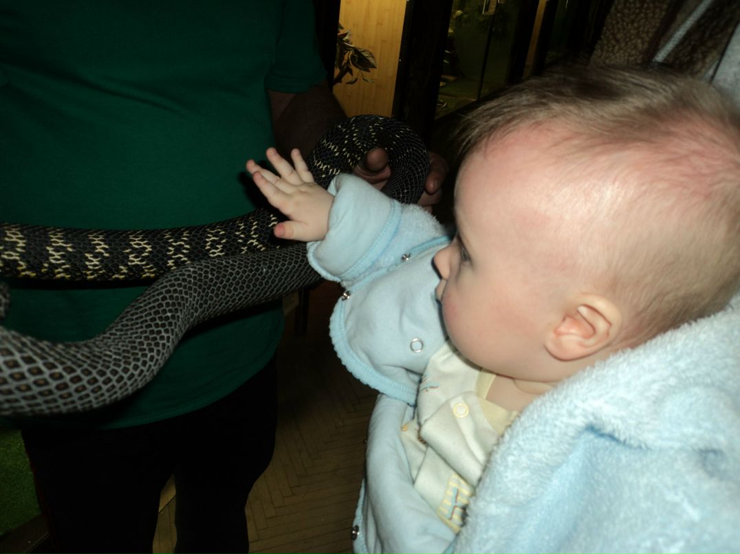 Вячеслав Трофимовский | Санкт-Петербург