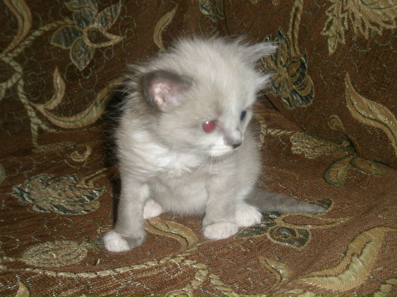 Людмила Писклова | Альметьевск