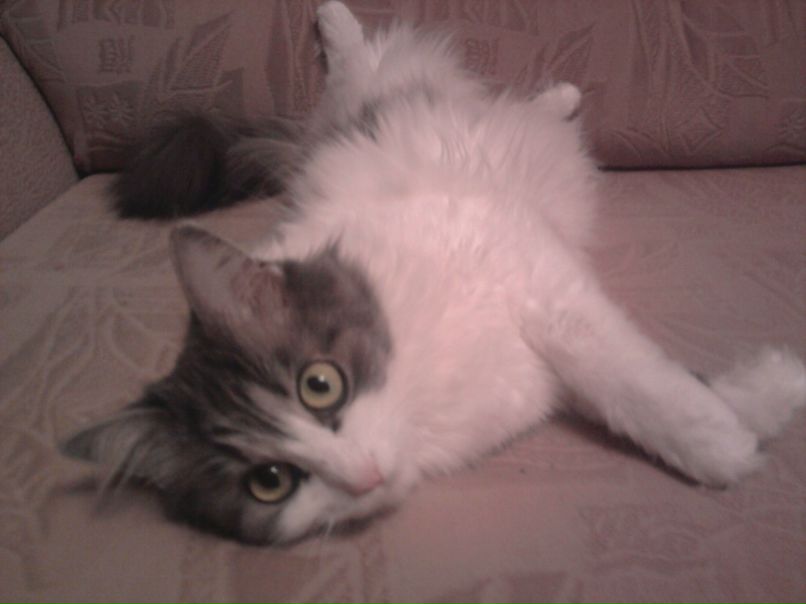 Мария Коноплева | Королёв