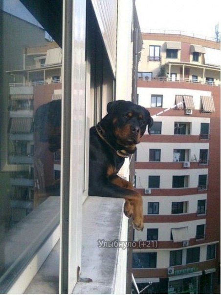 №7, Олег Чернов №7, Олег Чернов