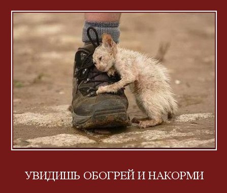 Андрей Никифоров | Ульяновск