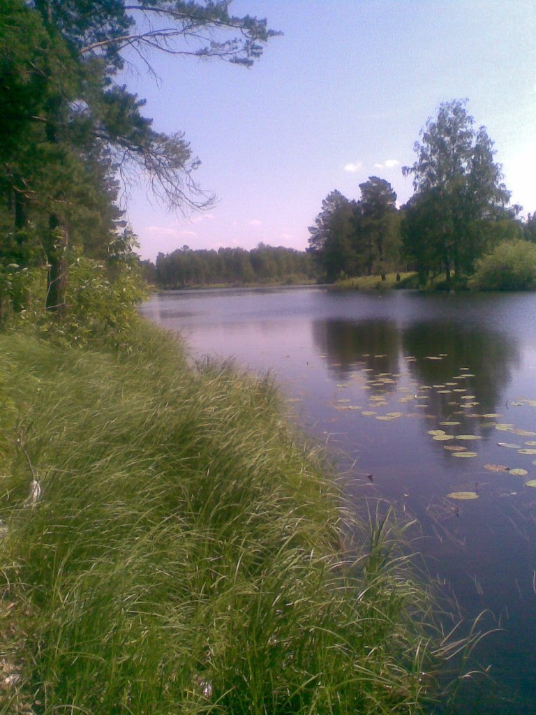 Евгений Иванов | Красноярск