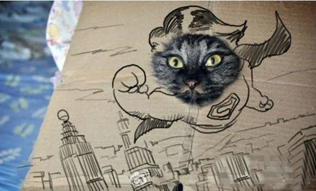 Сергей Козлов | Новосибирск