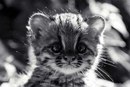 Фотография Алиевой Людмилы