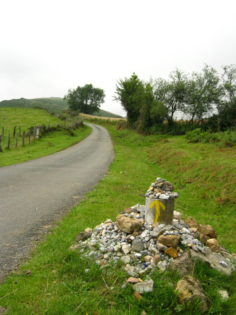 Светлана Иванова | Санкт-Петербург