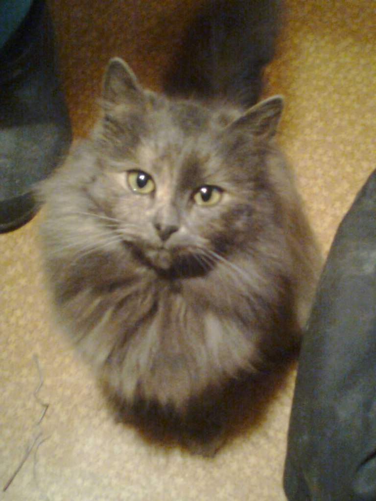 Денис Ханин | Москва