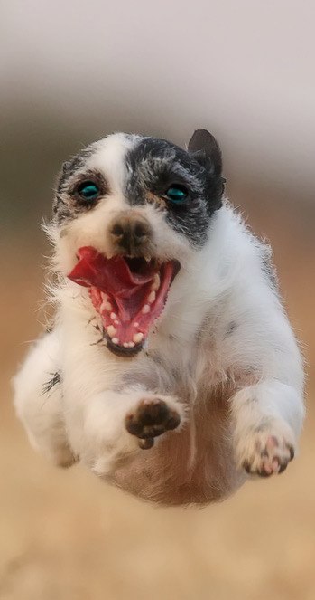 Никита Конюков | 