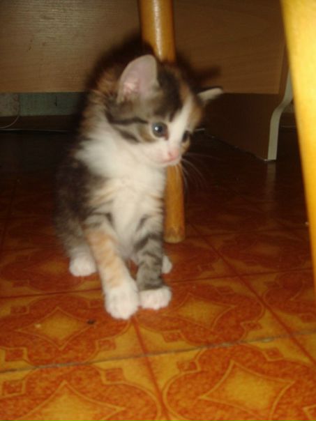 №194, Мария Паладий, 2.2.1987, Москва №194, Мария Паладий, 2.2.1987, Москва