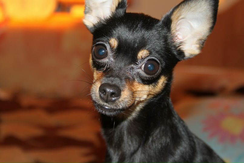 Наталья Демидова | Тюмень