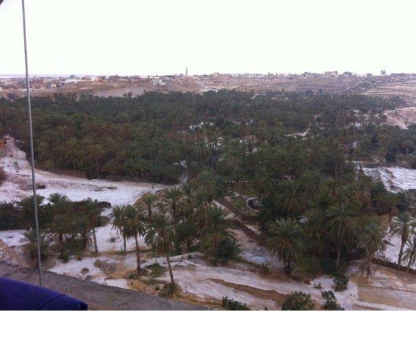 Irina Hamma | Донецк