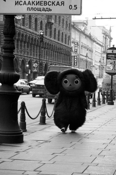 Елена Солопова | Dresden