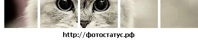 Фотография Андрей Биндасов