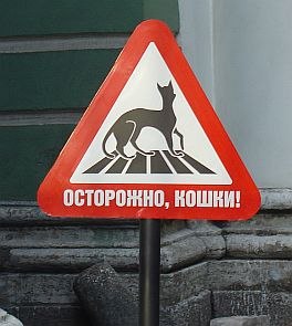 Таня Иванова | Москва