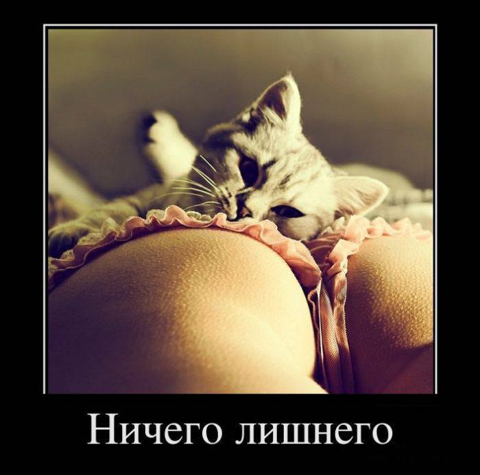 Глеб Домакеев | Тольятти