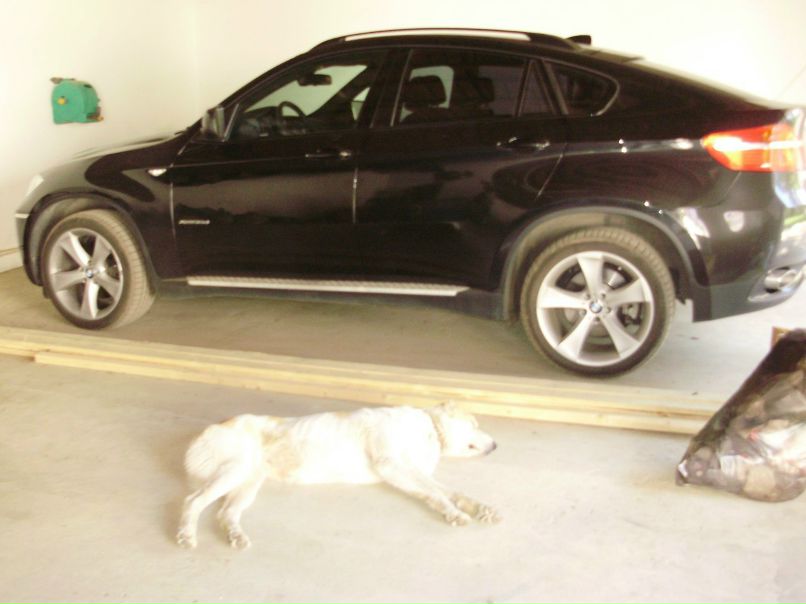 Дмитрий Худяков | Санкт-Петербург