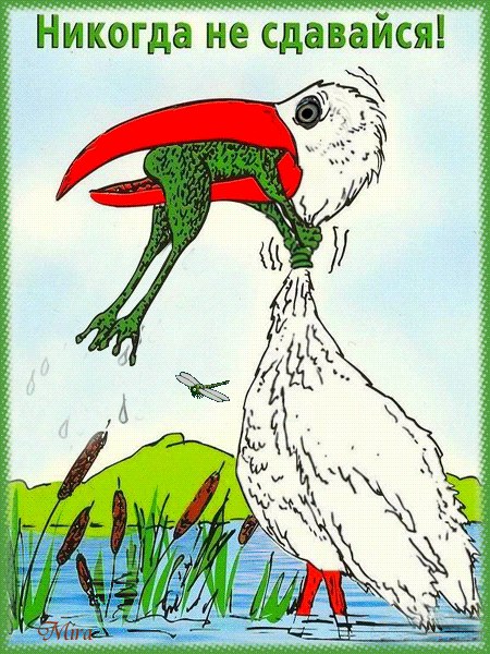 Газиз Хусаинов | Уфа