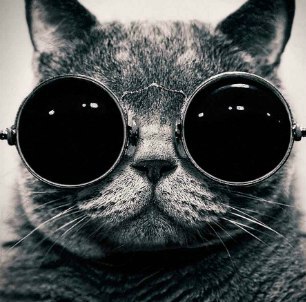 Вася Василёк | 