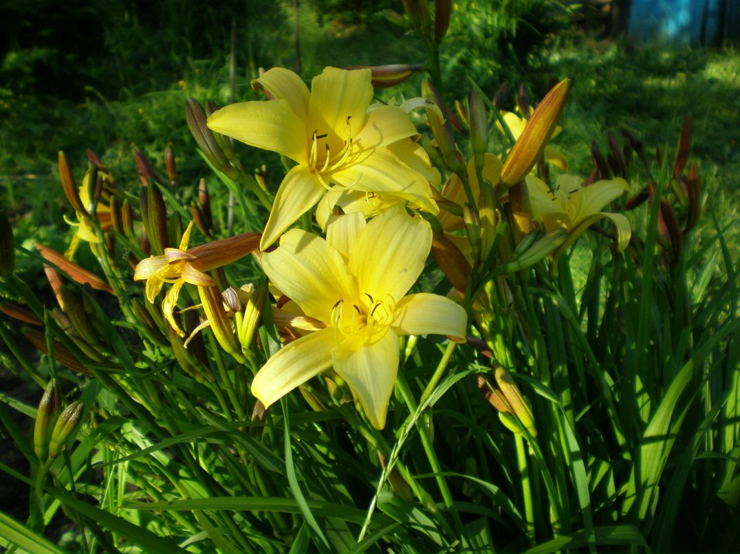 Юрий Татуйко | Санкт-Петербург