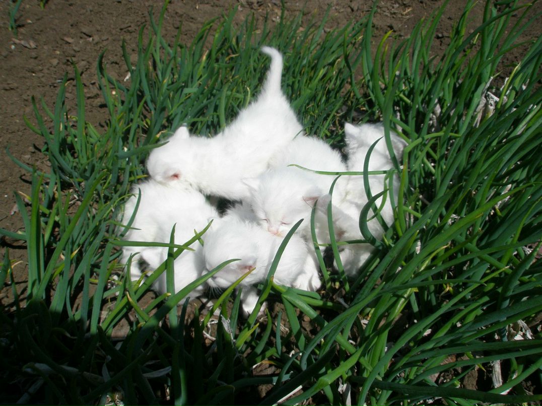 Сергей Ермак | Москва