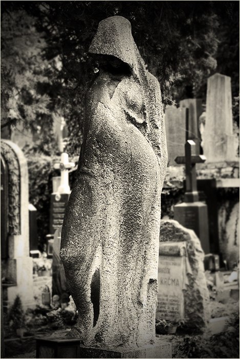 Саша Старченко ⎷⎛⎝⎝⏠⏝⏠⎠⎷⎛⎝⎛⎝  ⎠⎞ | 