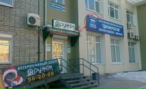Фотография Дамир Закиров