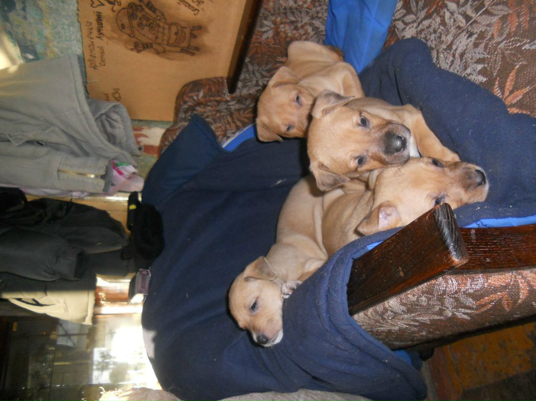 Юленька Назырова | Сызрань