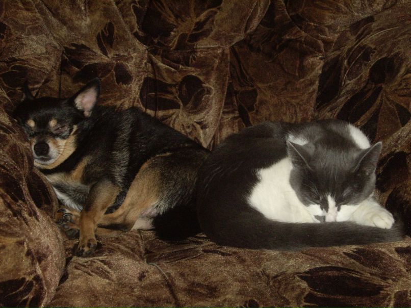 Игорь Андреев | Мончегорск