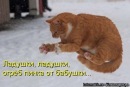Фотография Сирицы Евгения