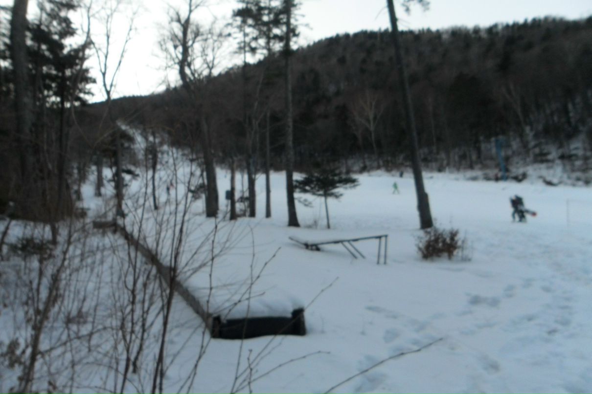 Виктория Камольцева | Владивосток