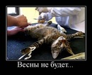 Фотография Кузьмина Бориса