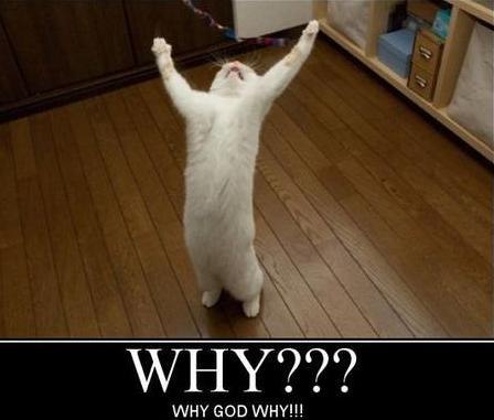 Константин Шлёмин | Петрозаводск