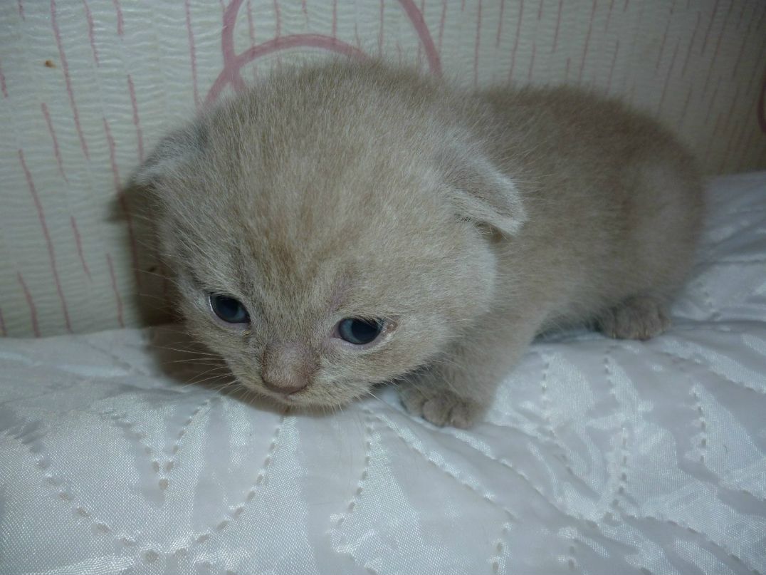 Ольга Миннуллина | Альметьевск