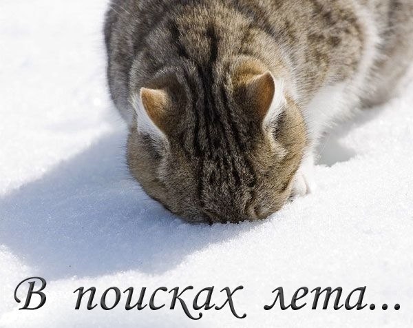 Ирина Тышкевич | Санкт-Петербург