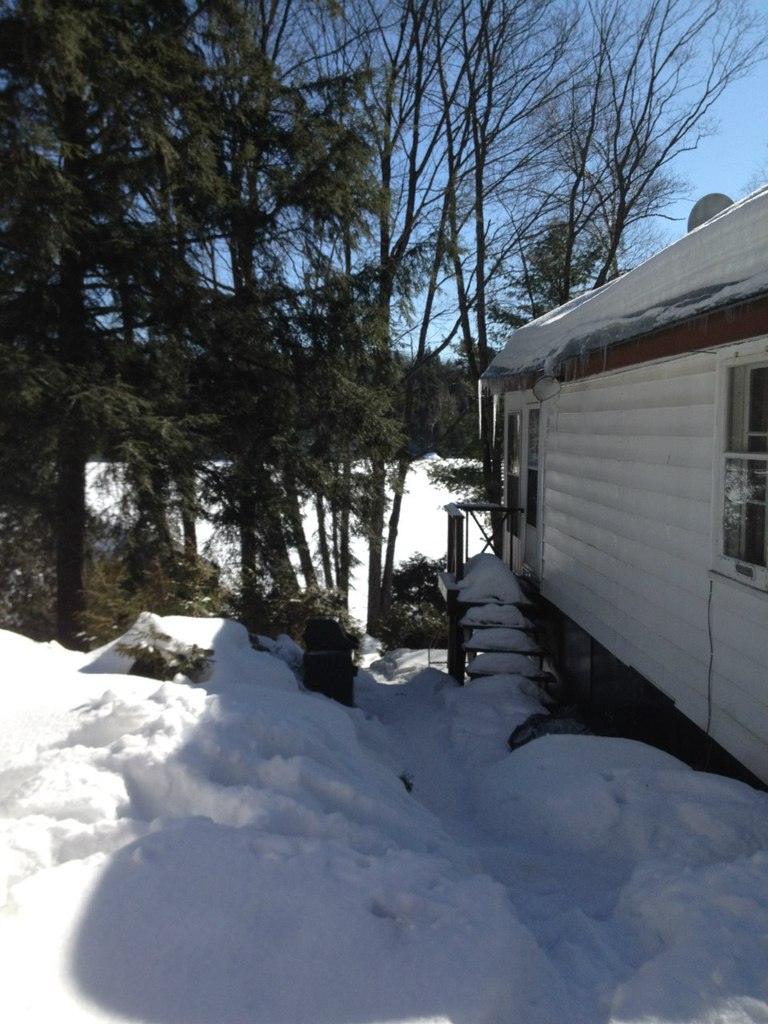 Иришка Малявская | Hamilton