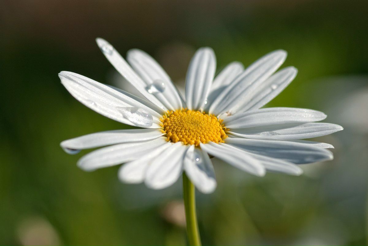 Алёна Ныркова | Уфа