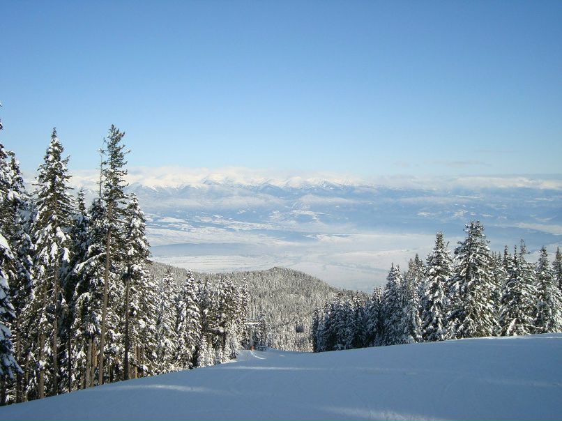 Алексей Лощагин | Тверь