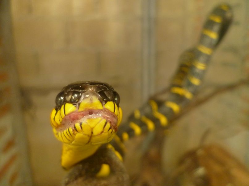 Дарья Бабочкина | Москва