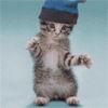 Аватар: Дима Ангель