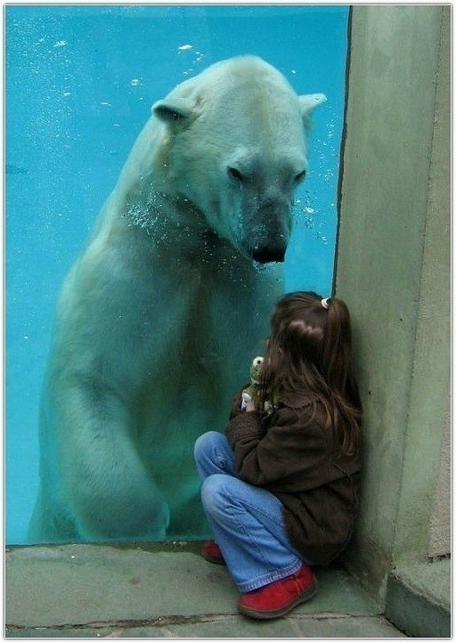 Евгений Кащенко | Конотоп