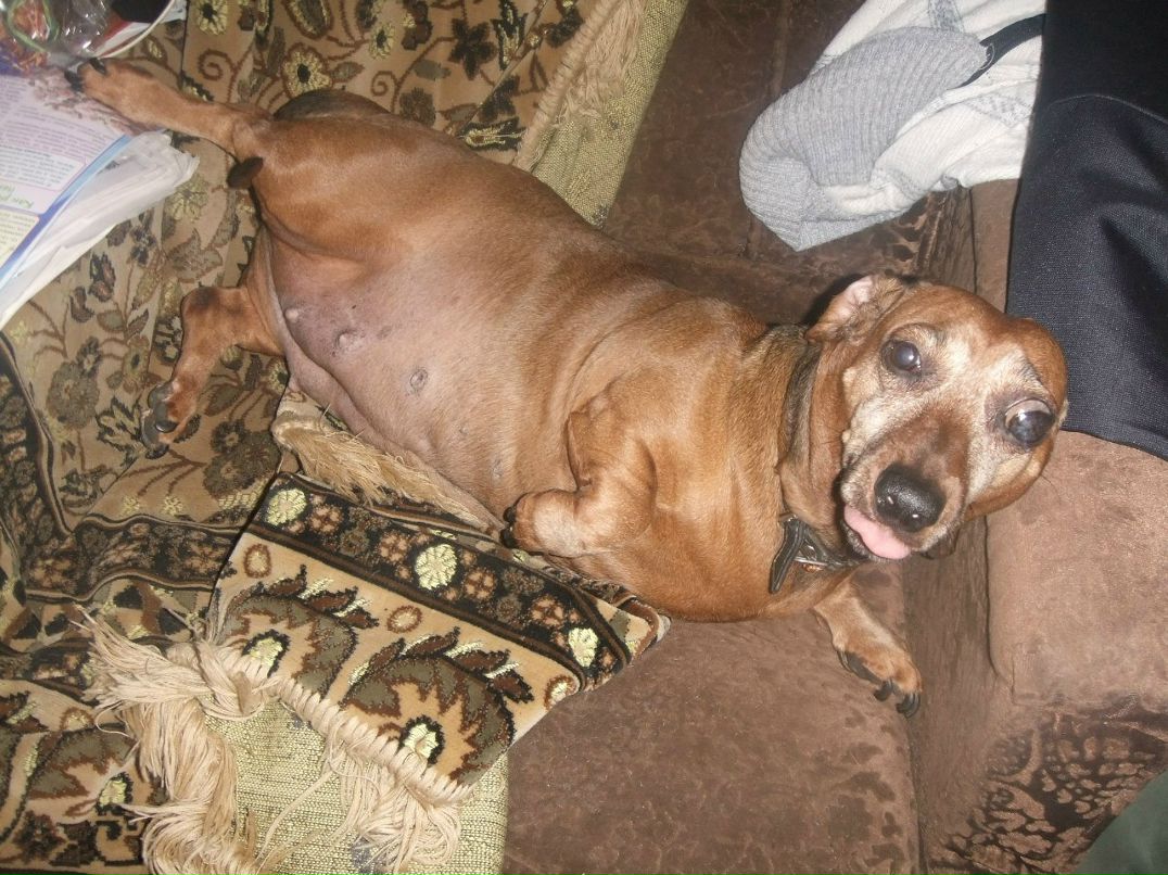 Анна Бучкова | Рязань