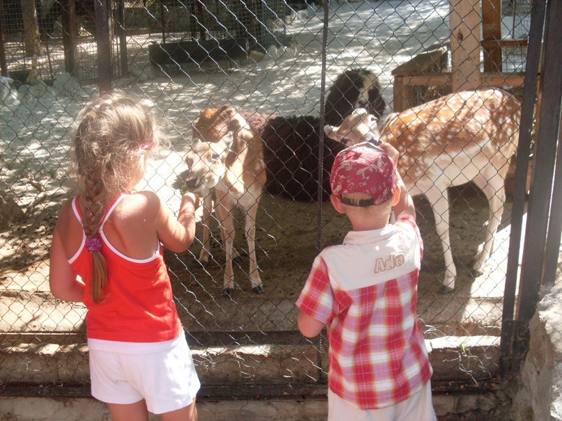 Светлана Воробьёва | Пушкин